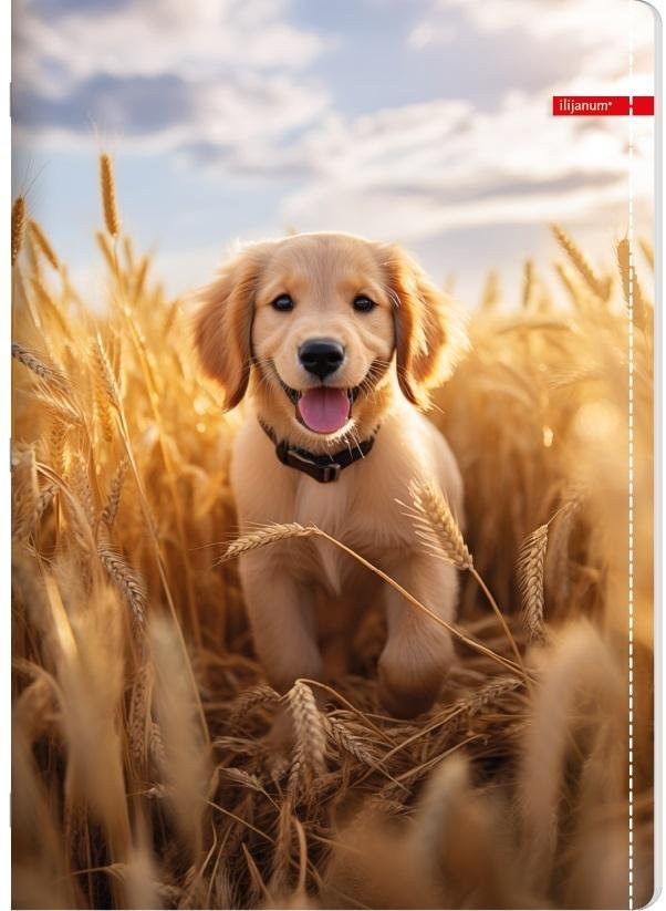  Sveska na linije A5 PETS 52 lista (Više vrsta)