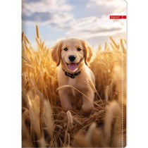  Sveska na linije A5 PETS 52 lista (Više vrsta)