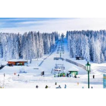 Kopaonik