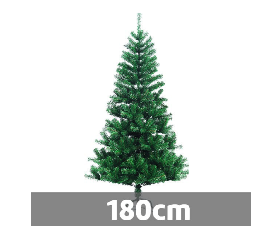 Novogodišnja jelka - Zelena jela Standard - Nordmann king 180 cm 