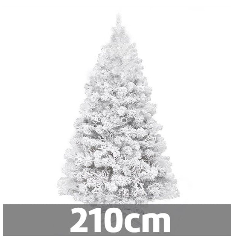 Novogodišnja jelka - Bela snežna jela - visina 210 cm