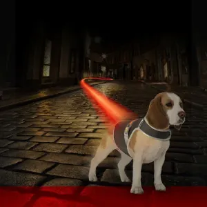 DUVO+ Sigurnosni Prsluk za pse s USB punjenjem