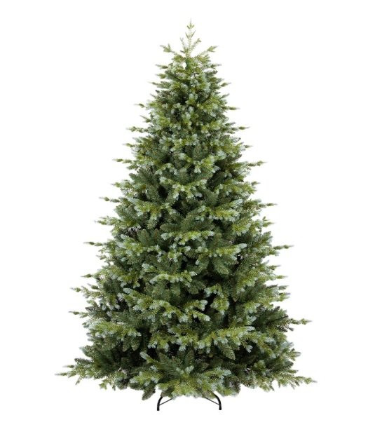 Novogodišnja jelka colorado blue spruce