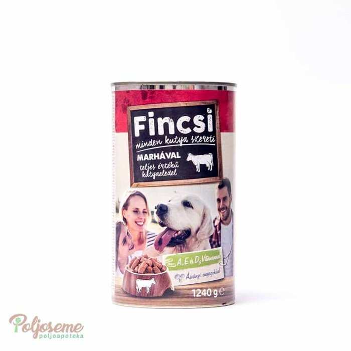 FINCSI KON.ZA PSE GOV. 1240