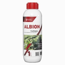 Albion
