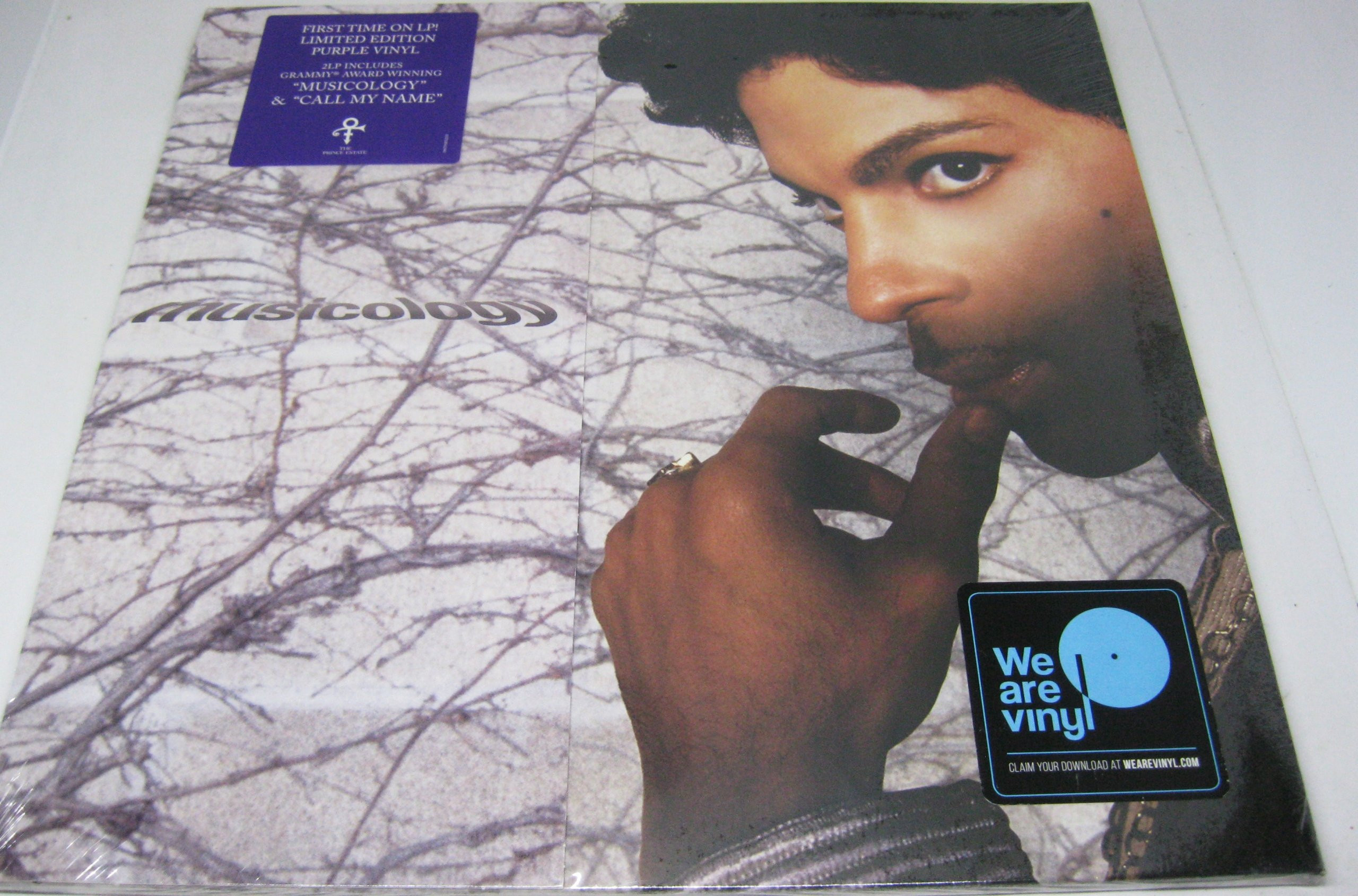 Prince – Musicology