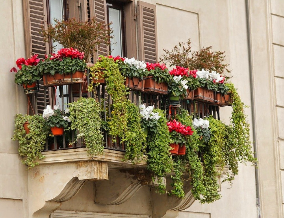 Saksijsko cveće za terasu KONFIGURABILNI