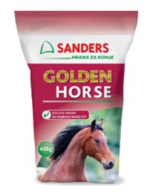 GOLDEN HORSE 