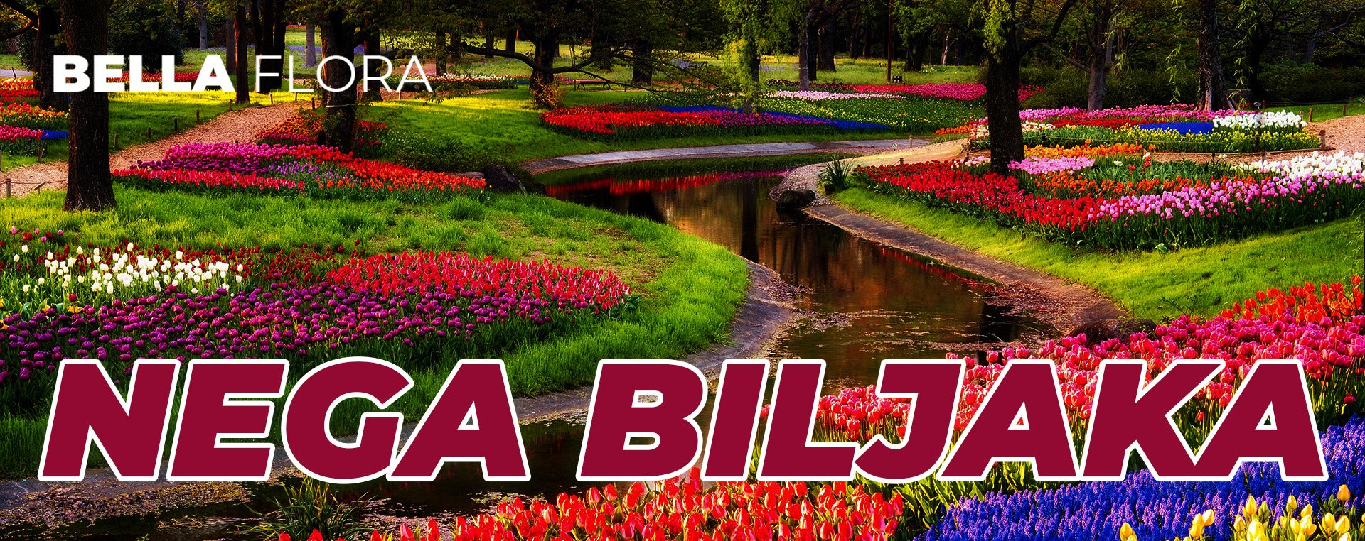 Nega biljaka Nega biljaka