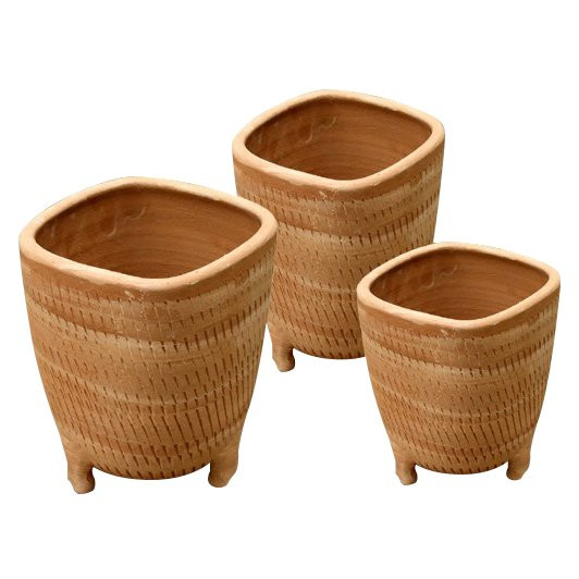 Saksija Grekos (sa nogicama)