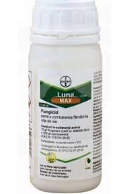 LUNA MAX
