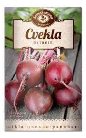Seme cvekla detroit