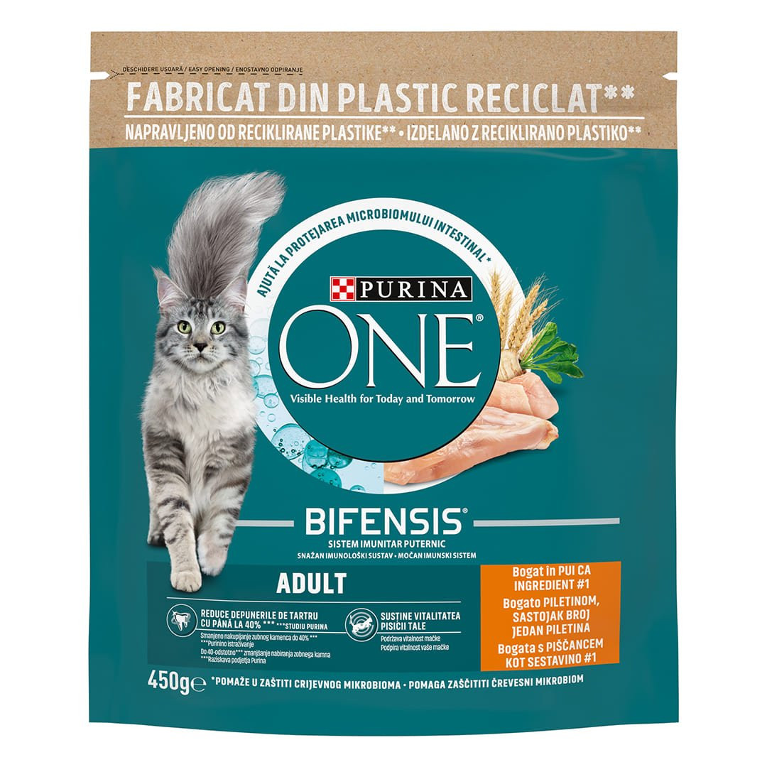 Purina ONE Adult Chicken & Whole Grains