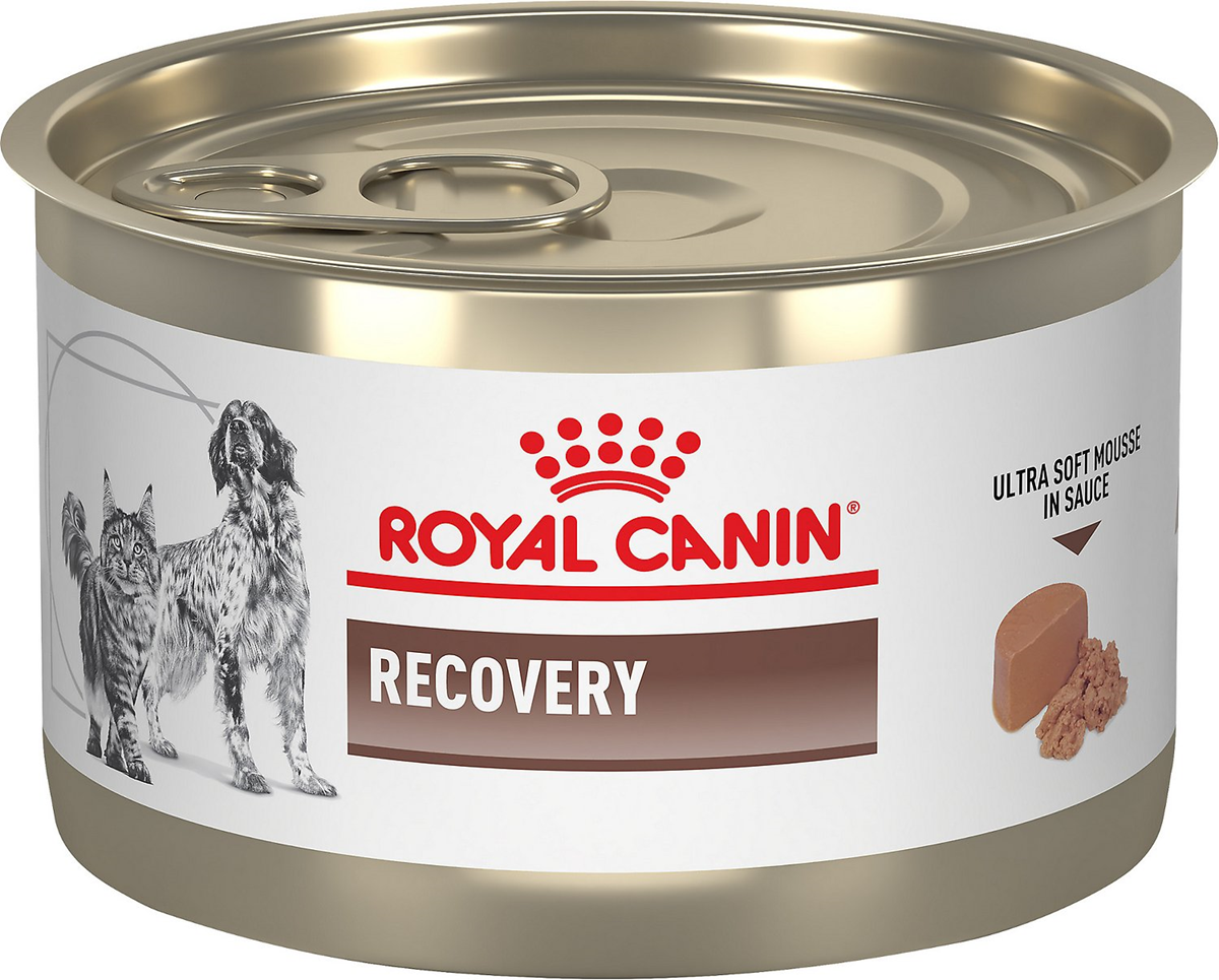 Royal Canin Recovery (mokra hrana)