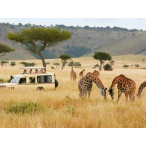 Egzotično putovanje – Kenija Safari