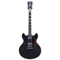 D'Angelico Premier DC Black Flake