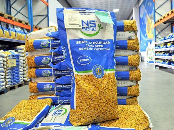 Seme kukuruza Hybrid 400