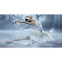 Karta za predstavu - LABUDOVO JEZERO