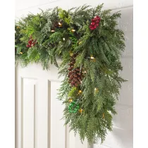 Outdoor Winter Evergreen Foliage