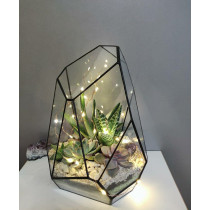 NoirNest Bloom – Glass Terrarium