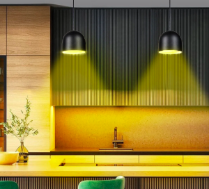 Philips Webber Clair Pendant light