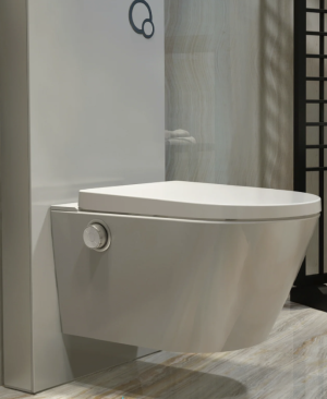 Washloo Odyssey (Wall Hung) Smart Toilet