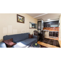 Studio in Zemun 1.5 room furnished 