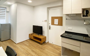 Apartment in Vracar - 2 - rooms Furnished