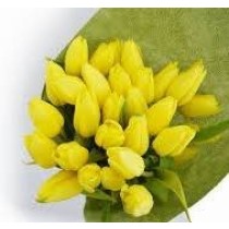 Veštačke lale (tulipani)