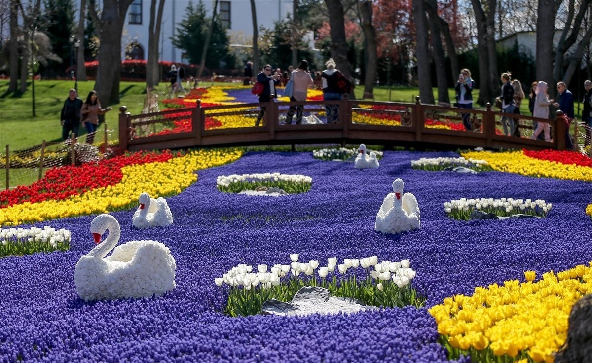 ISTANBUL – FESTIVAL LALA / AVIO