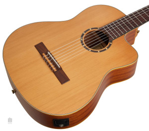 Ortega RCE131