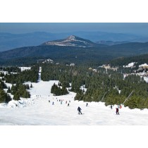 Kopaonik 7 dana