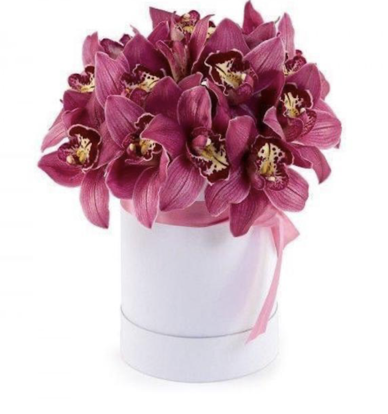 Orchid box