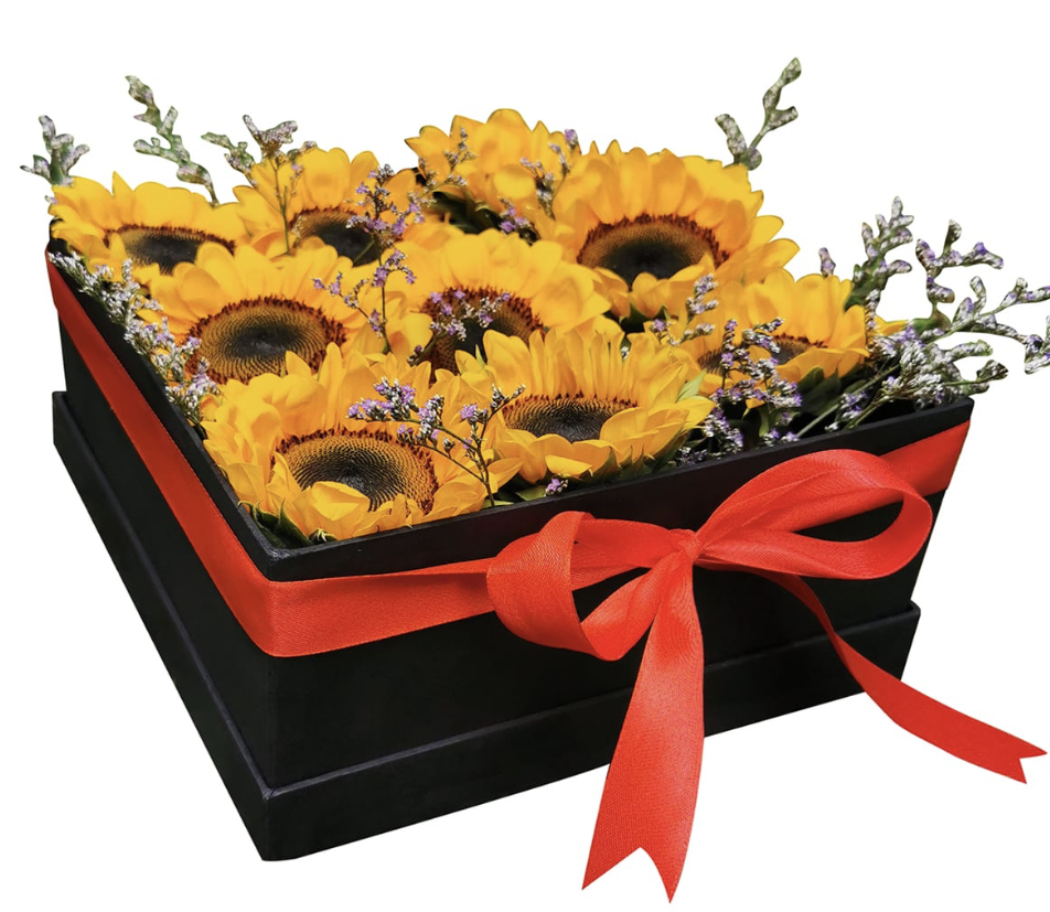 Sunshine Box