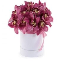 Orchid box