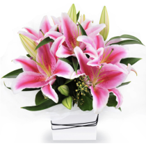 Lillies in a box