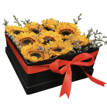 Sunshine Box