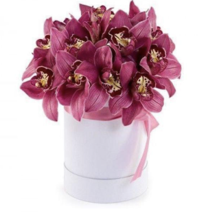 Orchid box