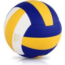 Volleyballs