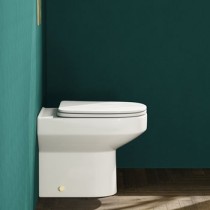 Back To Wall Toilet 