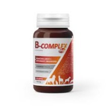 vitamin B za pse