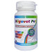 Kompleks vitamina za pse