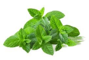 CAJ NANA