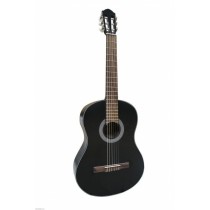 Gitara2