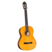 Gitara1