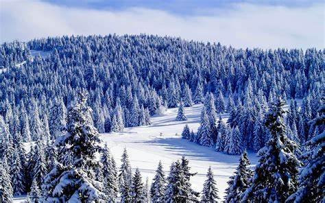 Kopaonik
