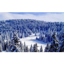 Kopaonik