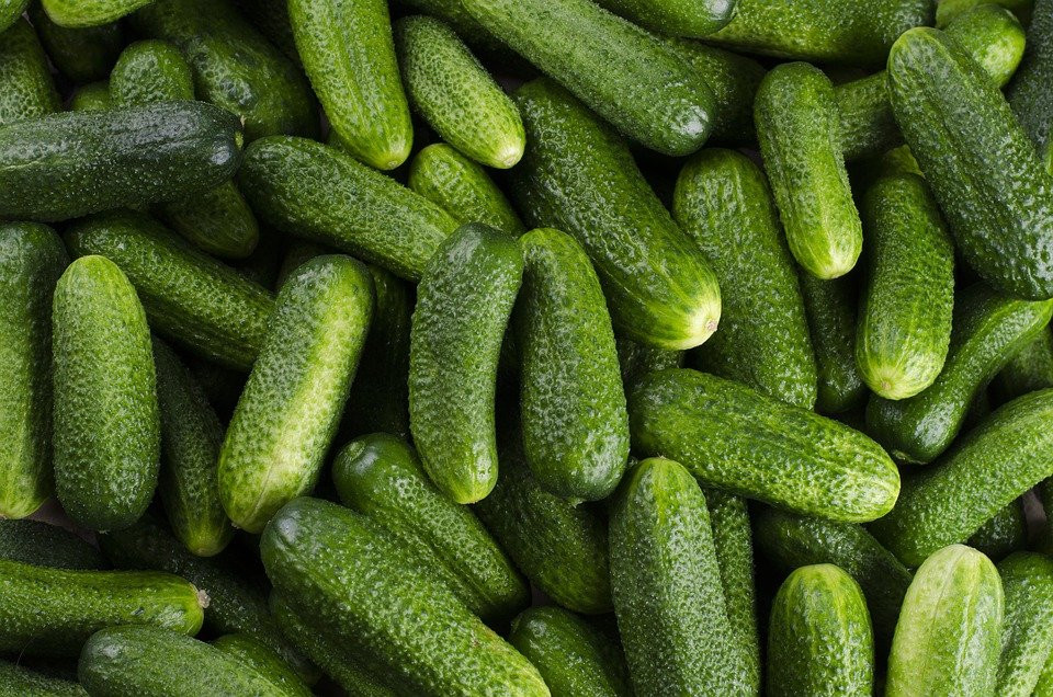 Organski krastavci