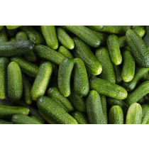 Organski krastavci