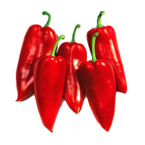 Organska crvena paprika